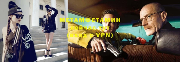 мдпв Богданович