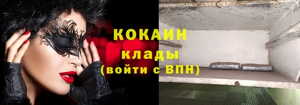 мдпв Богданович