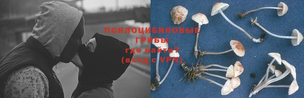 мдпв Богданович