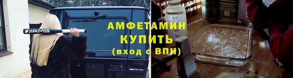 спиды Богородицк