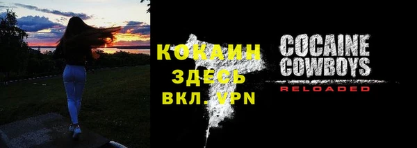 спиды Богородицк