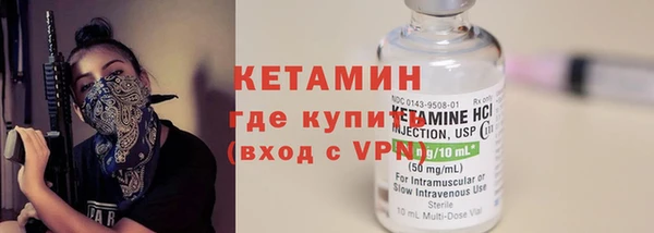 спиды Богородицк