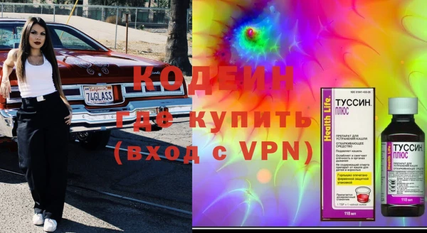 спиды Богородицк