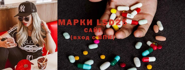 мдпв Богданович