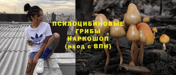 спиды Богородицк