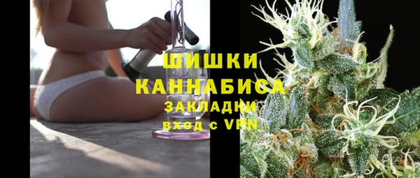 спиды Богородицк