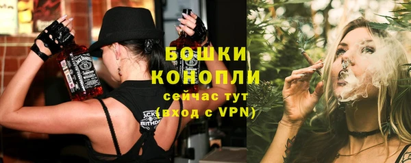 мдпв Богданович
