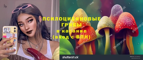 мдпв Богданович