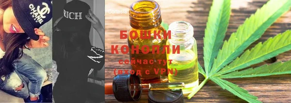 спиды Богородицк